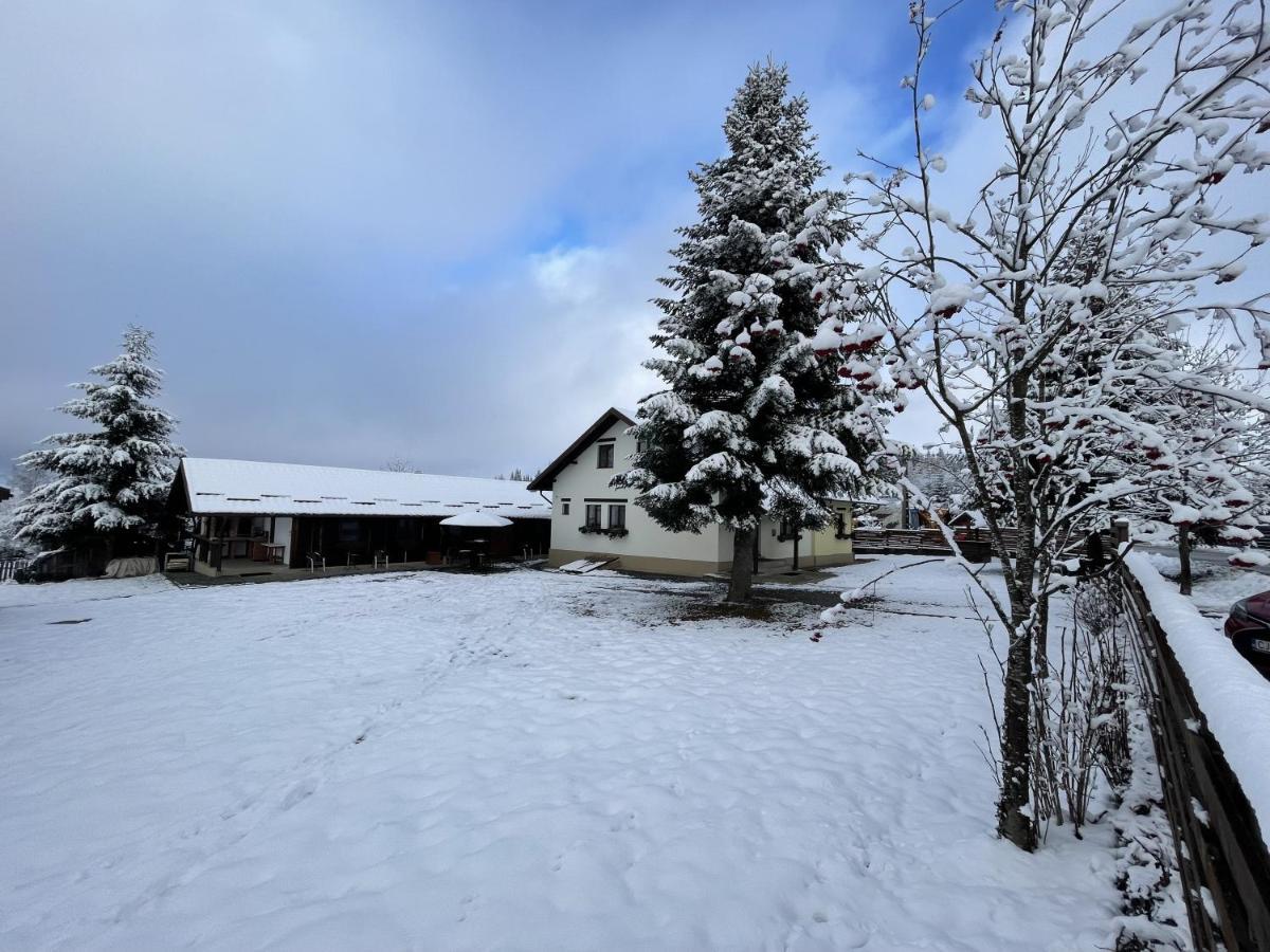 Pensiunea Vis Alpin Beliş Exterior foto