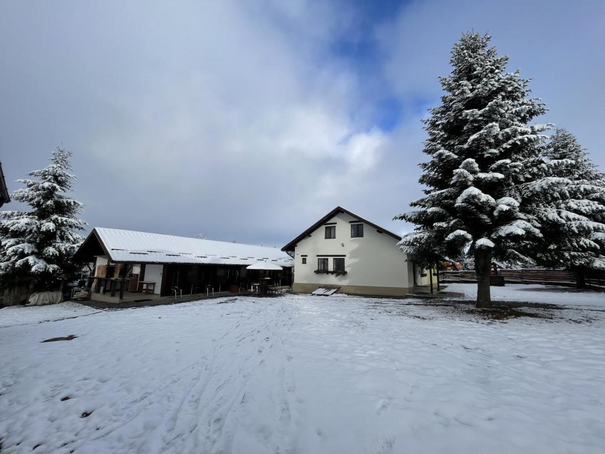 Pensiunea Vis Alpin Beliş Exterior foto