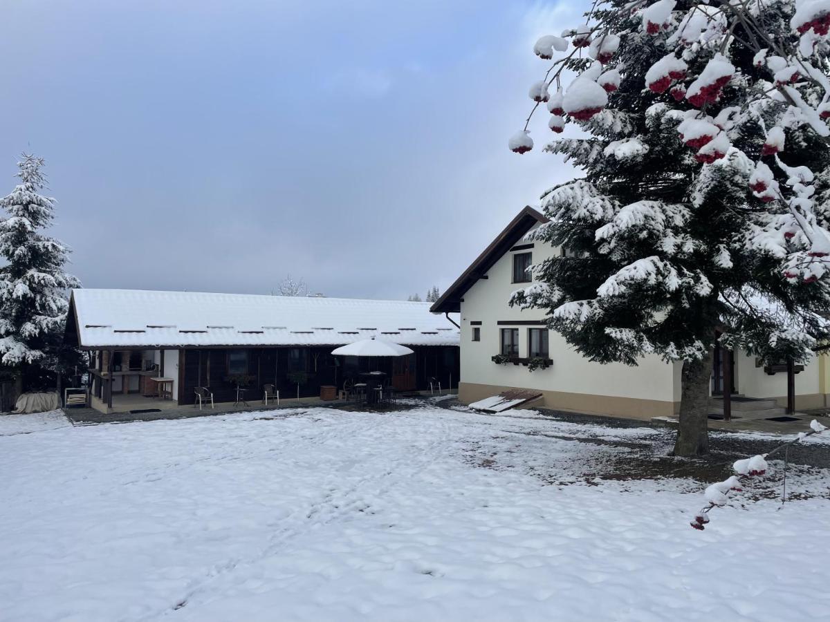 Pensiunea Vis Alpin Beliş Exterior foto