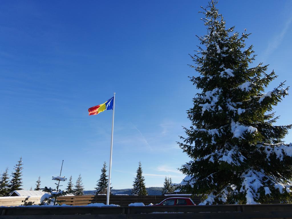 Pensiunea Vis Alpin Beliş Exterior foto
